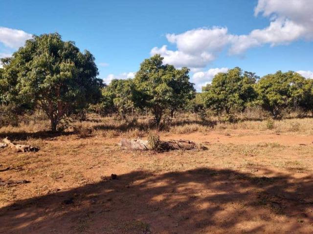 Fazenda - TAV60 - Foto 14