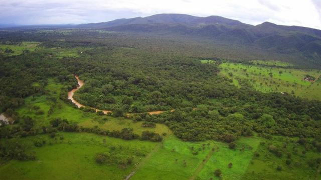 Chácara - Vão do Paranã - Formosa-GO