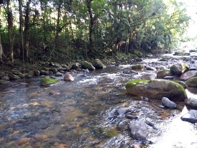 Terreno medindo 17 mil metros passando rio dentro e córrego