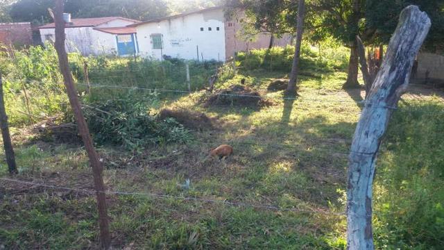Terreno em Itamaracá - Foto 2