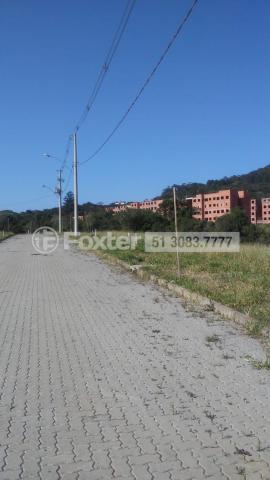 Terreno à venda em Campo novo, Porto alegre cod:190388 - Foto 5