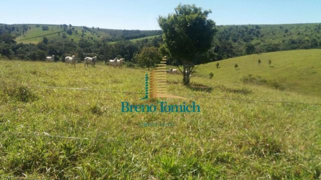 Fazenda à venda, 5227200 m² por r$ 10.800.000 - itabela - itabela/ba - Foto 6