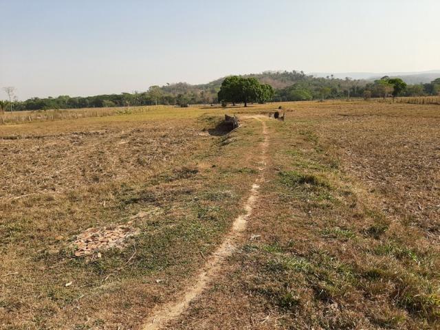 Chácara com 5 hectares na Agrovila das Palmeiras - Foto 4