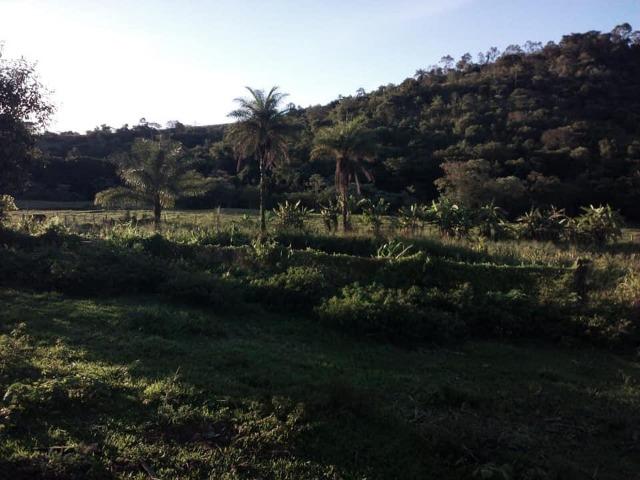 Sitio - Foto 16