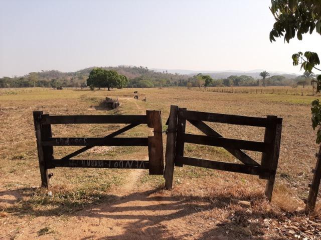 Chácara com 5 hectares na Agrovila das Palmeiras - Foto 2