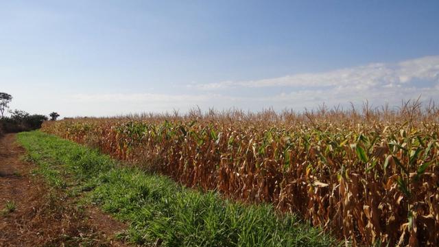 Fazenda em chapada com 970 hectares sendo 300 plantando - Foto 9