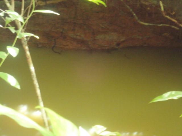 Sítio Chapada dos Guimarães 22 hectares - Foto 4