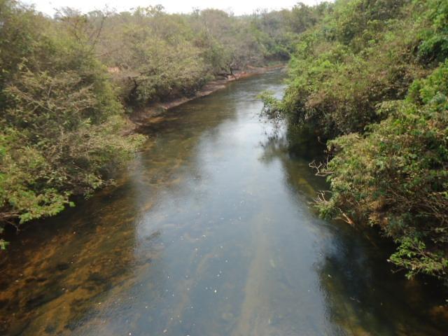 3000 hectares,Paranatinga/MT, 50% Para Plantio Soja, Paranatinga/MT. Oportunidade - Foto 2