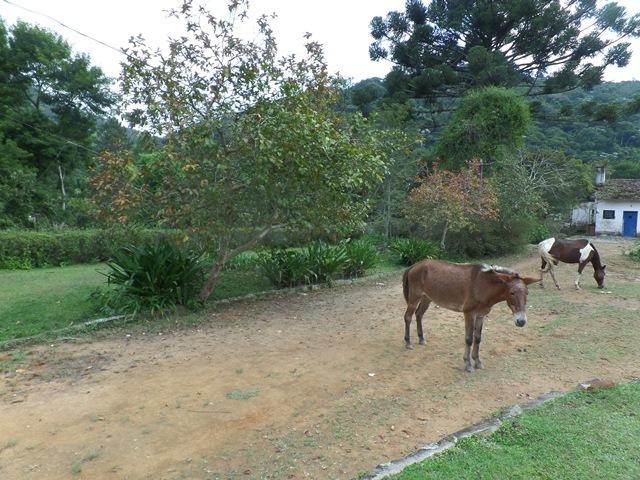 064 - Área de Terras nas Montanhas - Teresópolis - R.J - Foto 7