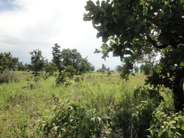Sítio Chapada dos Guimarães 22 hectares - Foto 12