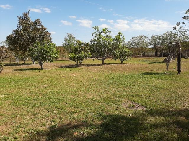 Chácara com 5 hectares no Rio Bandeira,com acesso de barco ao Rio Cuiabá - Foto 12