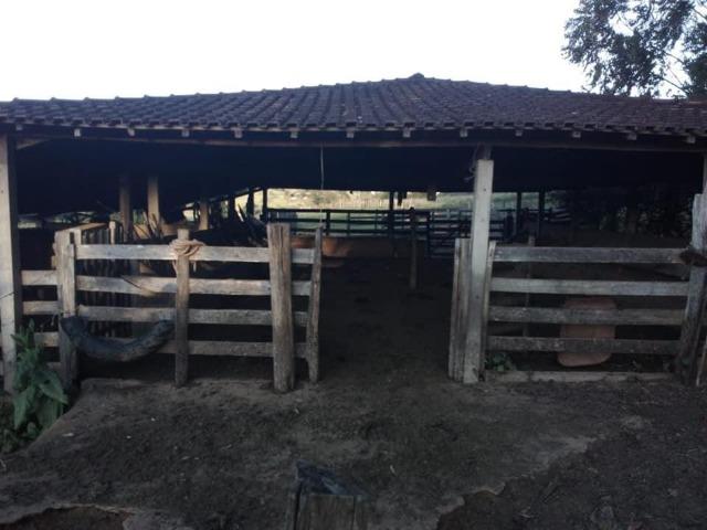 Sitio - Foto 13
