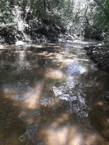 Chácara 3 hectares á venda beira do Rio dos Peixes Cuiabá - Foto 4