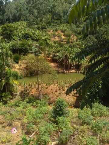 Vendo lindas chácaras a 23 km de Fundão sendo 16 km de chão - Foto 4