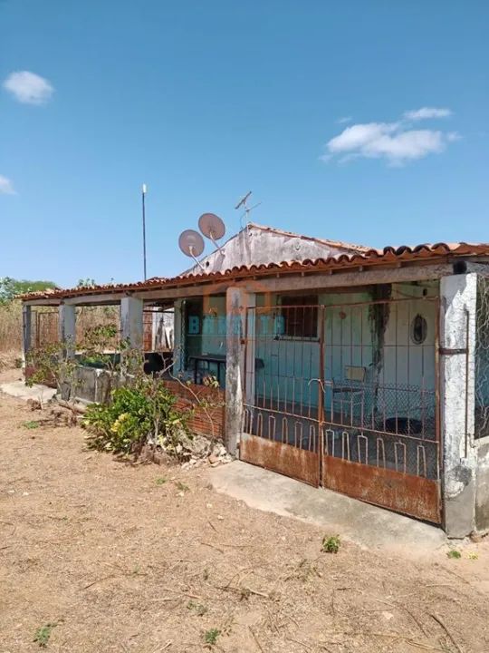 CÓD: 2559.  Propriedade Rural na RN 117 para Venda!   - Foto 2