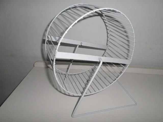 roda para roedores - Foto 2