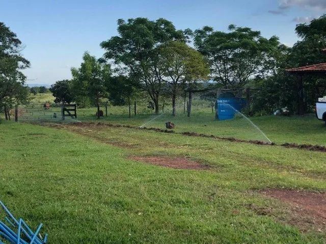 Excelente e Produtiva Fazenda, 1.060 hectares município de Corguinho - MS - Foto 3