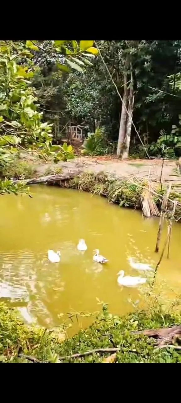 Últimos terrenos em condomínio rural ,5km da praia de Imbassai  - Foto 4