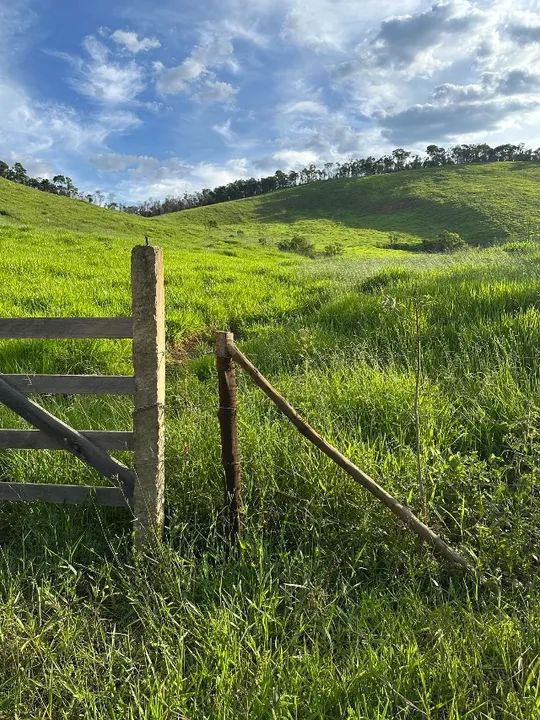Sítio 70 hectares Juiz de Fora Mg 1,4k - Foto 13