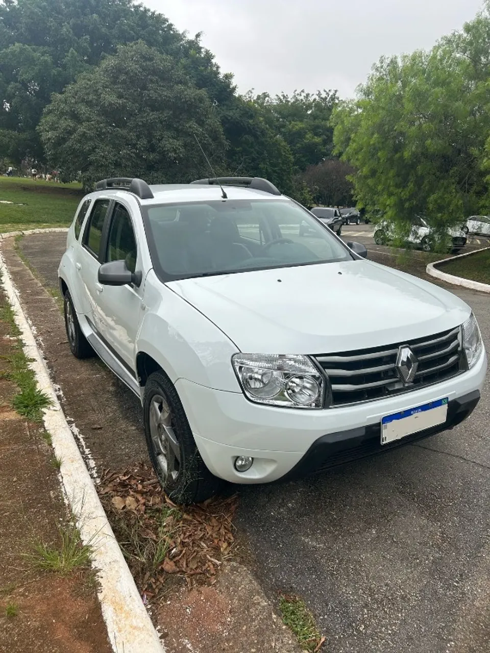RENAULT DUSTER 2015 Usados e Novos