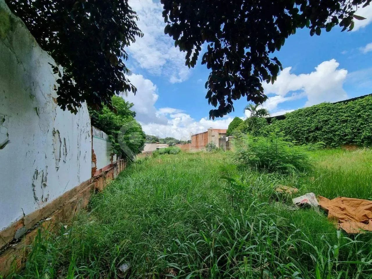 Terreno à Venda Paulicéia - Piracicaba - SP - Foto 3