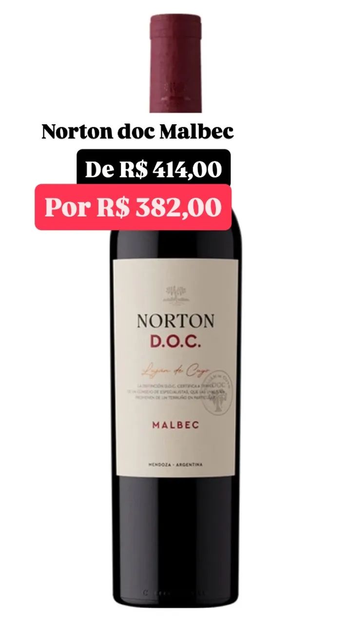 Vinho Norton doc Malbec 