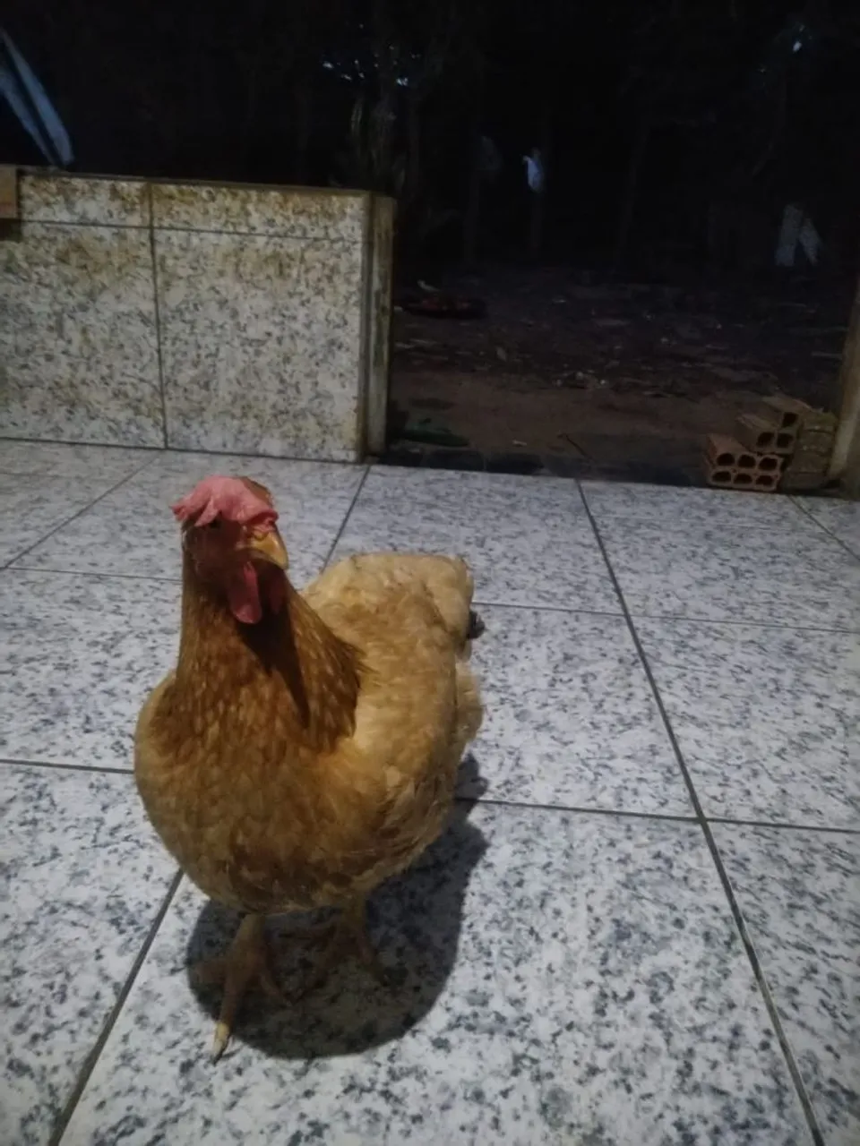 Vende