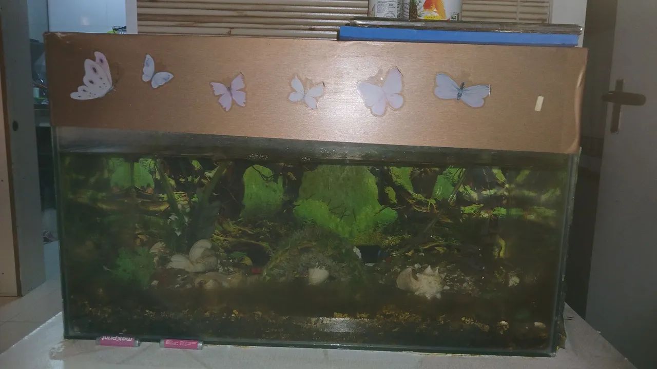 Aquário  - Foto 4
