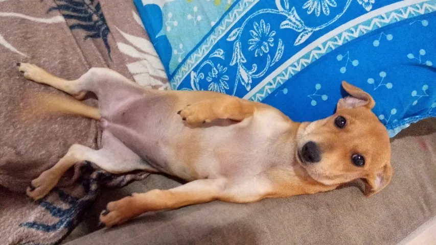 Doação 