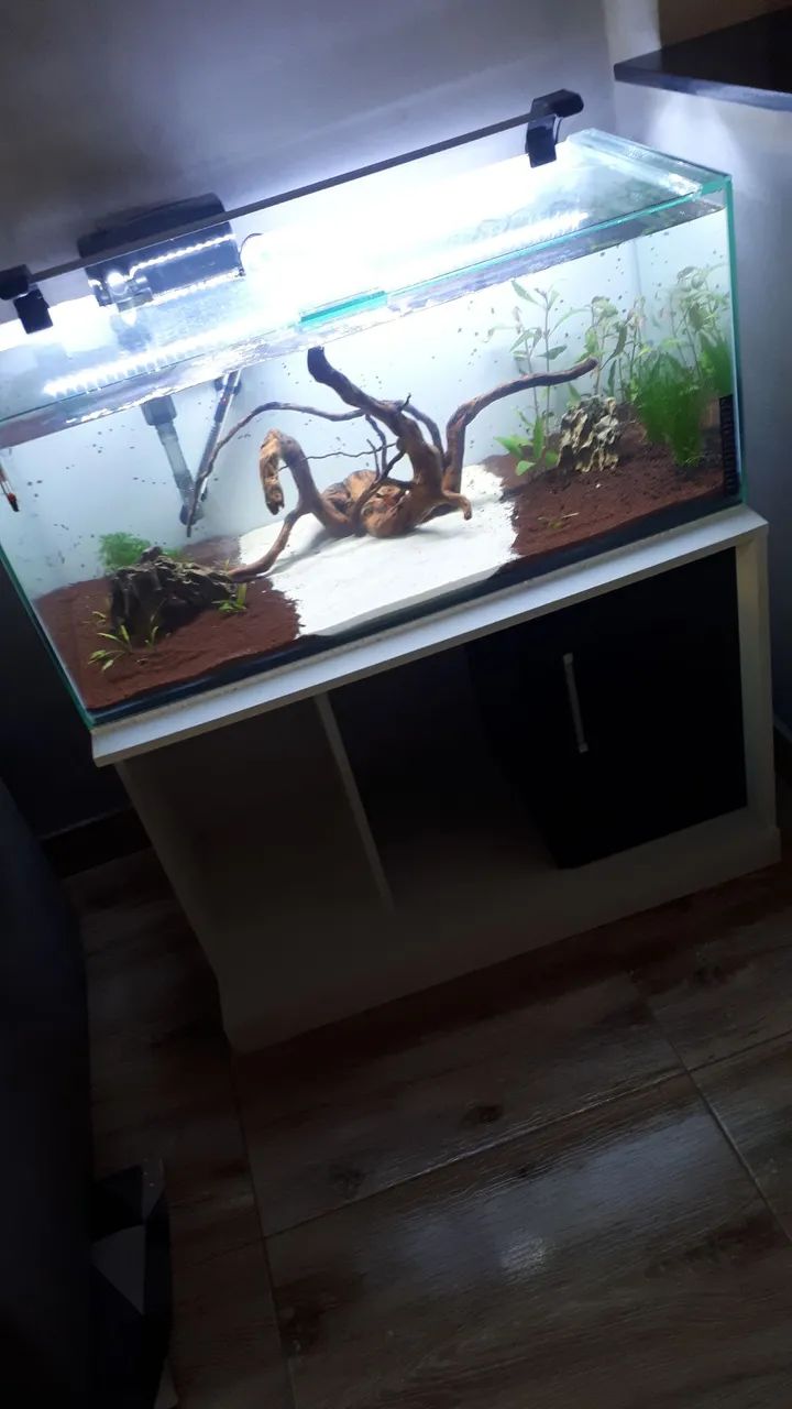 Aquário 150 litros Completo com Móvel e Iluminação.