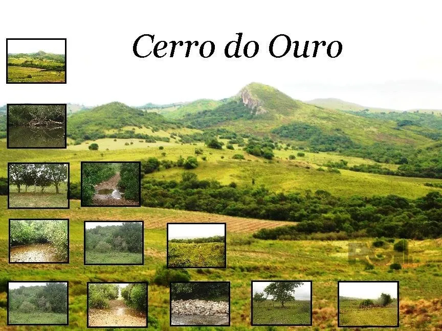 Fazenda/Sítio à Venda - São Gabriel