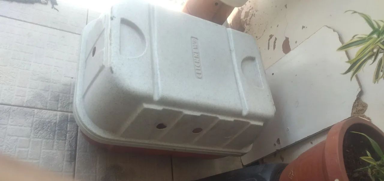 Coelhinho mine loop Branco com casinha - Foto 4