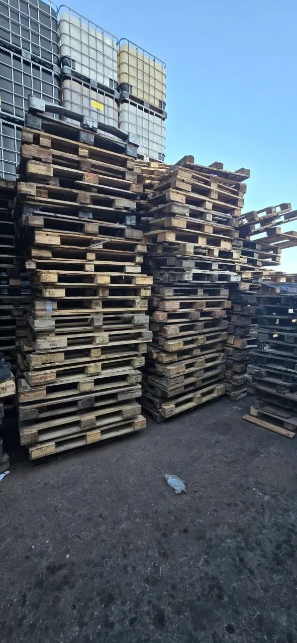 Pallet madeira Pbr padrão