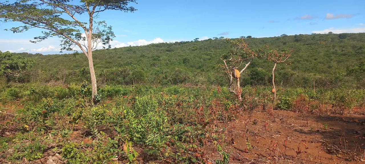 Terreno próximo a Vila nova de Minas