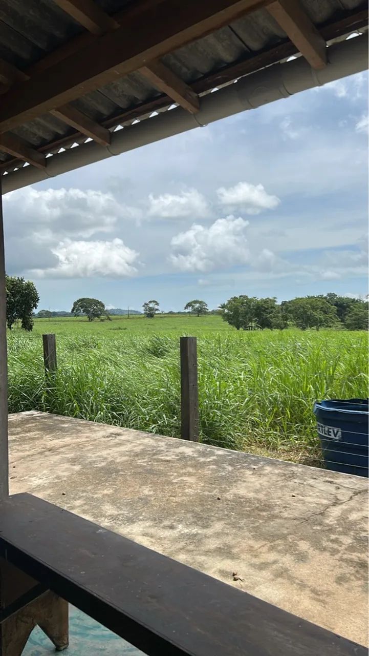 Fazenda 700ha em Cantá/RR - 260ha limpos, sede, curral, galpão e documentação em dia. - Foto 4