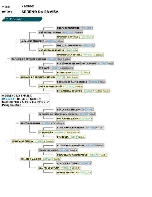 Vendo cavalo crioulo inteiro