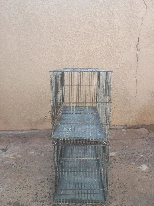Gaiola criadeira para canário  - Foto 2