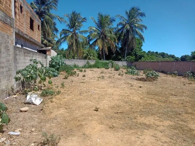 Terreno Scherrer 490 m2 - Foto 3