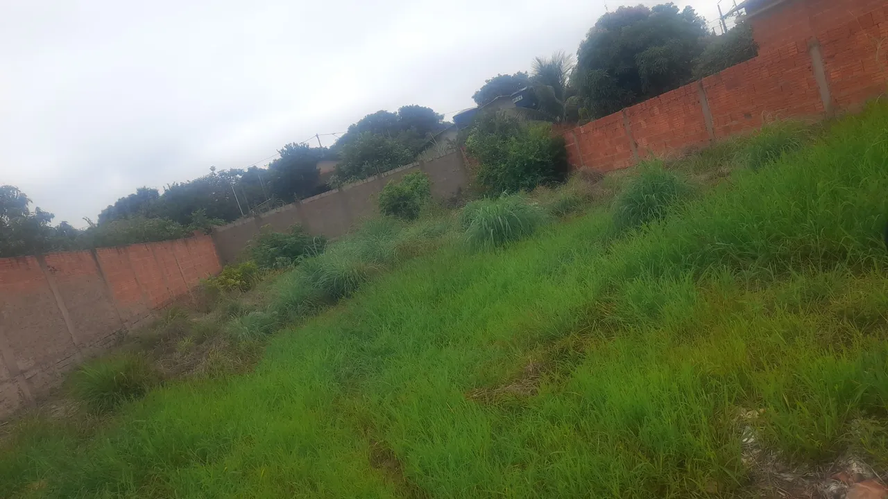 Terreno 