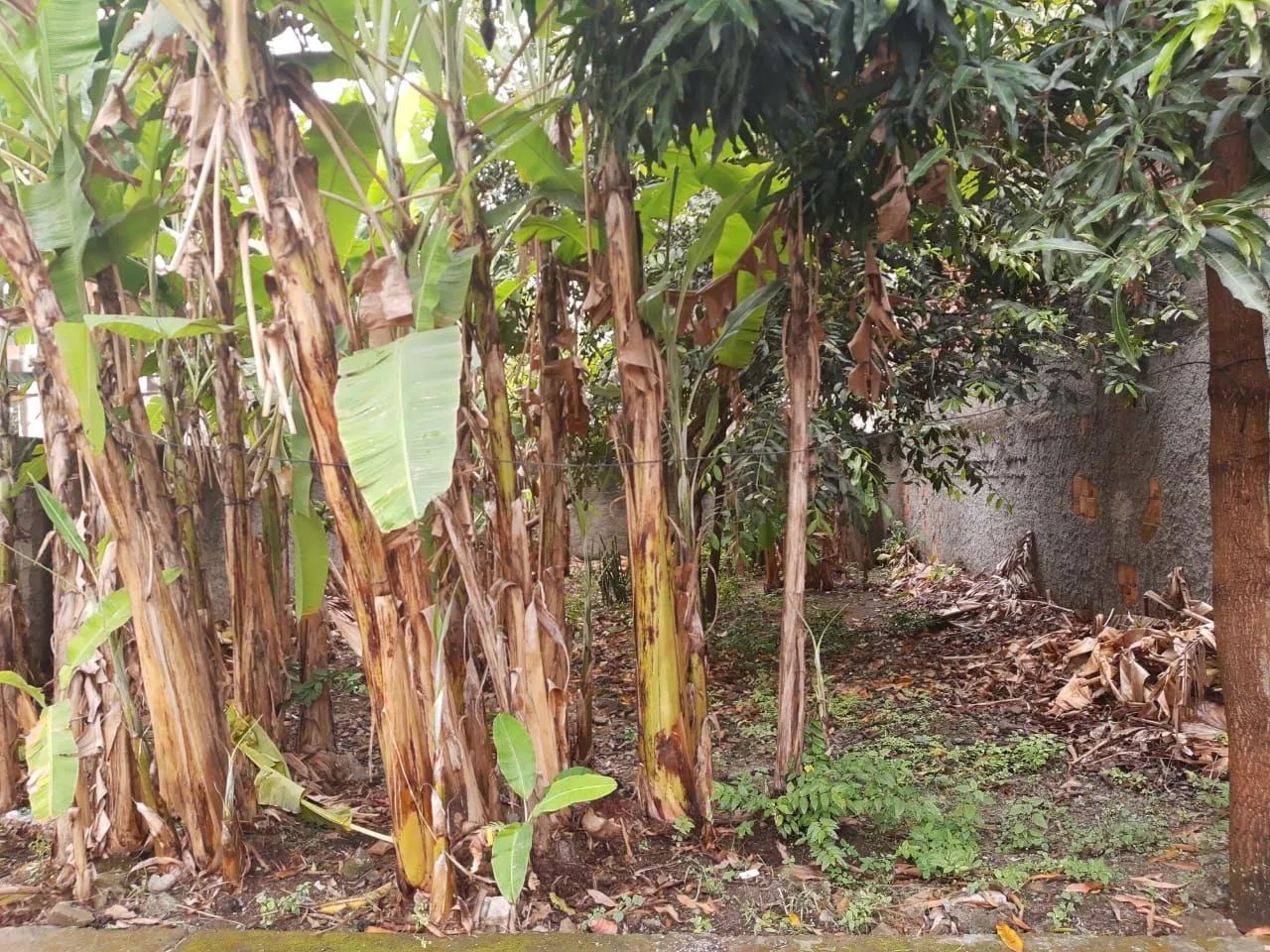 Foto - Nova Iguaçu - Centro