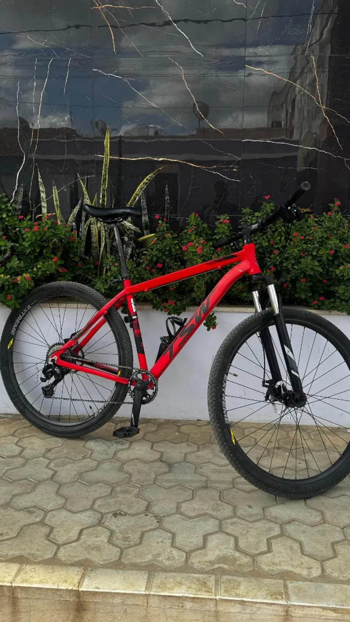 Bike TSW 29
