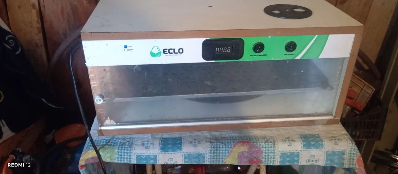 Incubadora de ovos Eclo aceito proposta