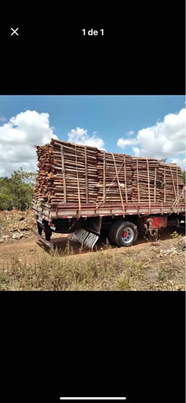 FRETE CARGA  GERÇO TRATORES SAL FERTILIZANTE SEMENTES DE CAPIM MUDANÇA PRA TDA REGIÃO  - Foto 3