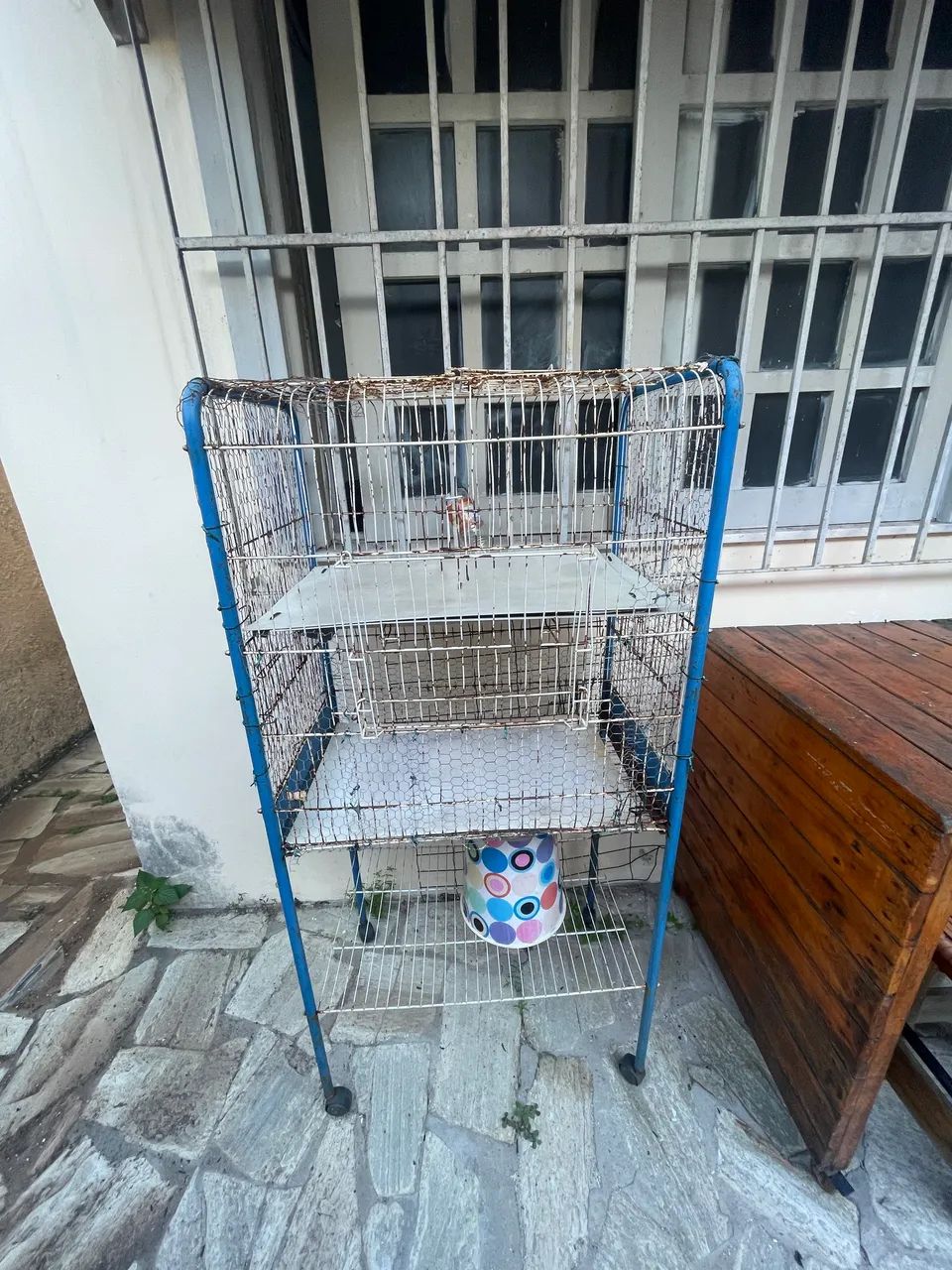 Gaiola - Foto 2