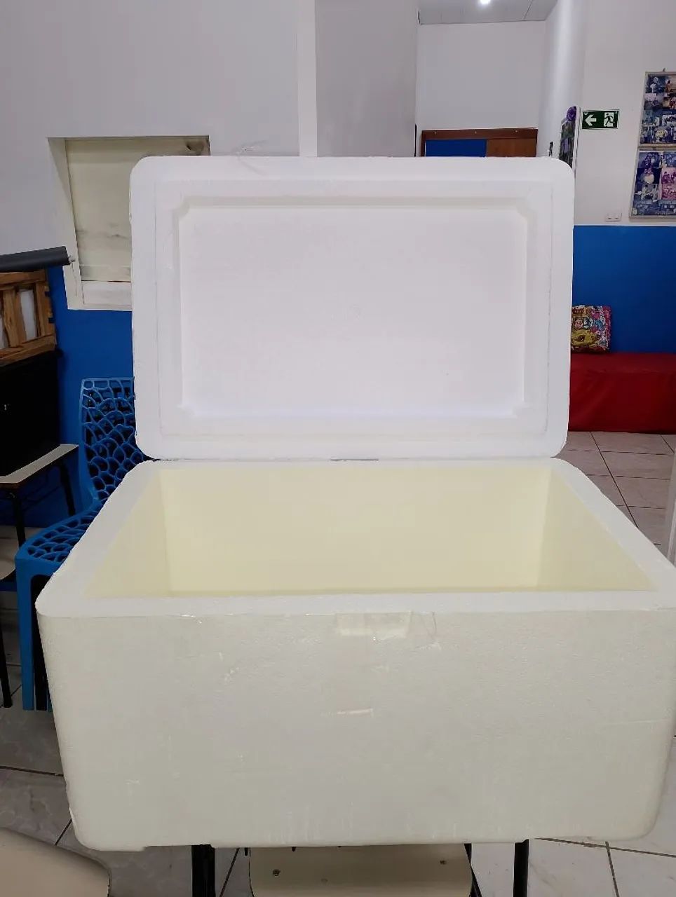 Caixas de Isopor  - Foto 4