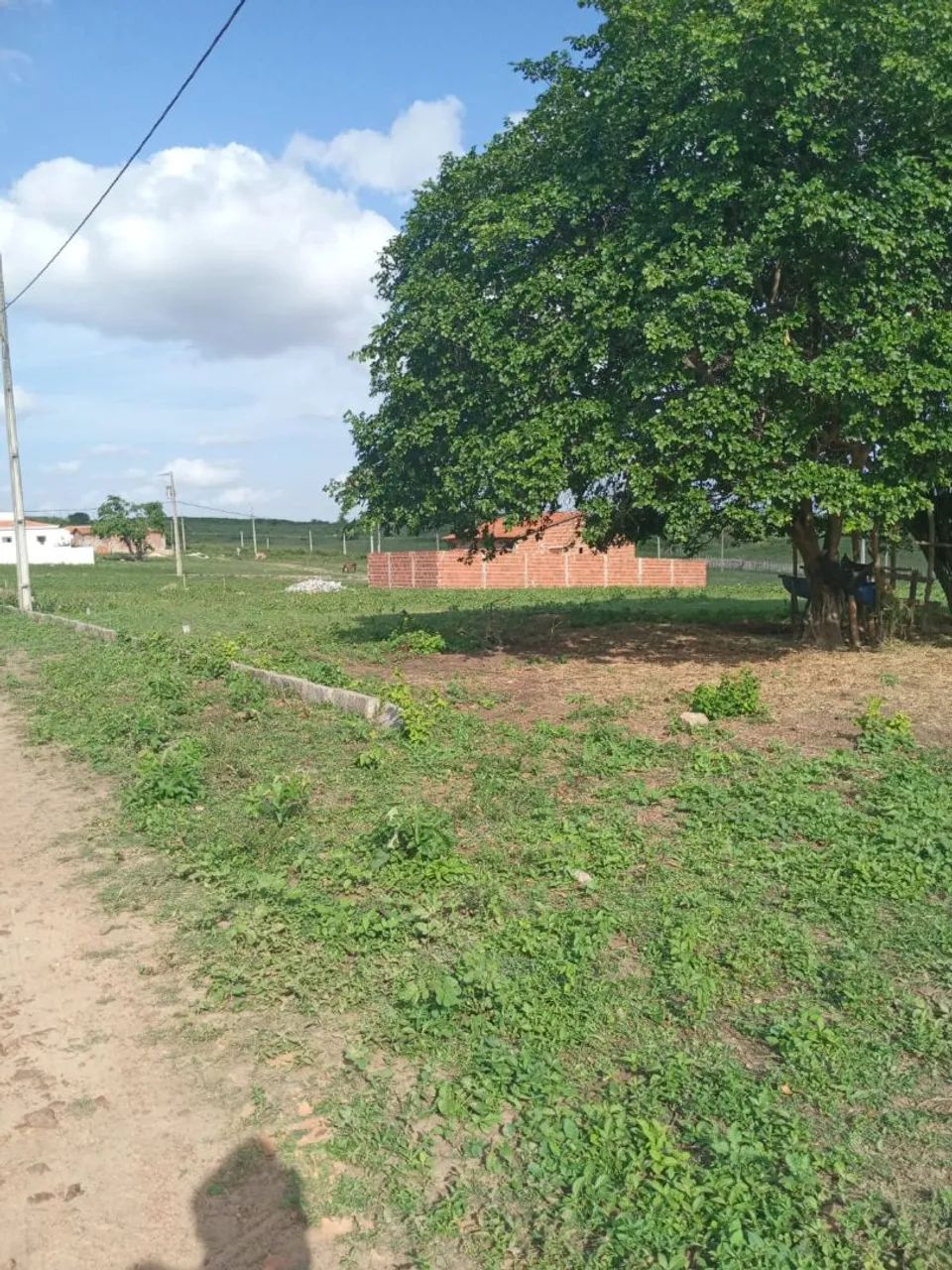 Terreno  - Foto 2