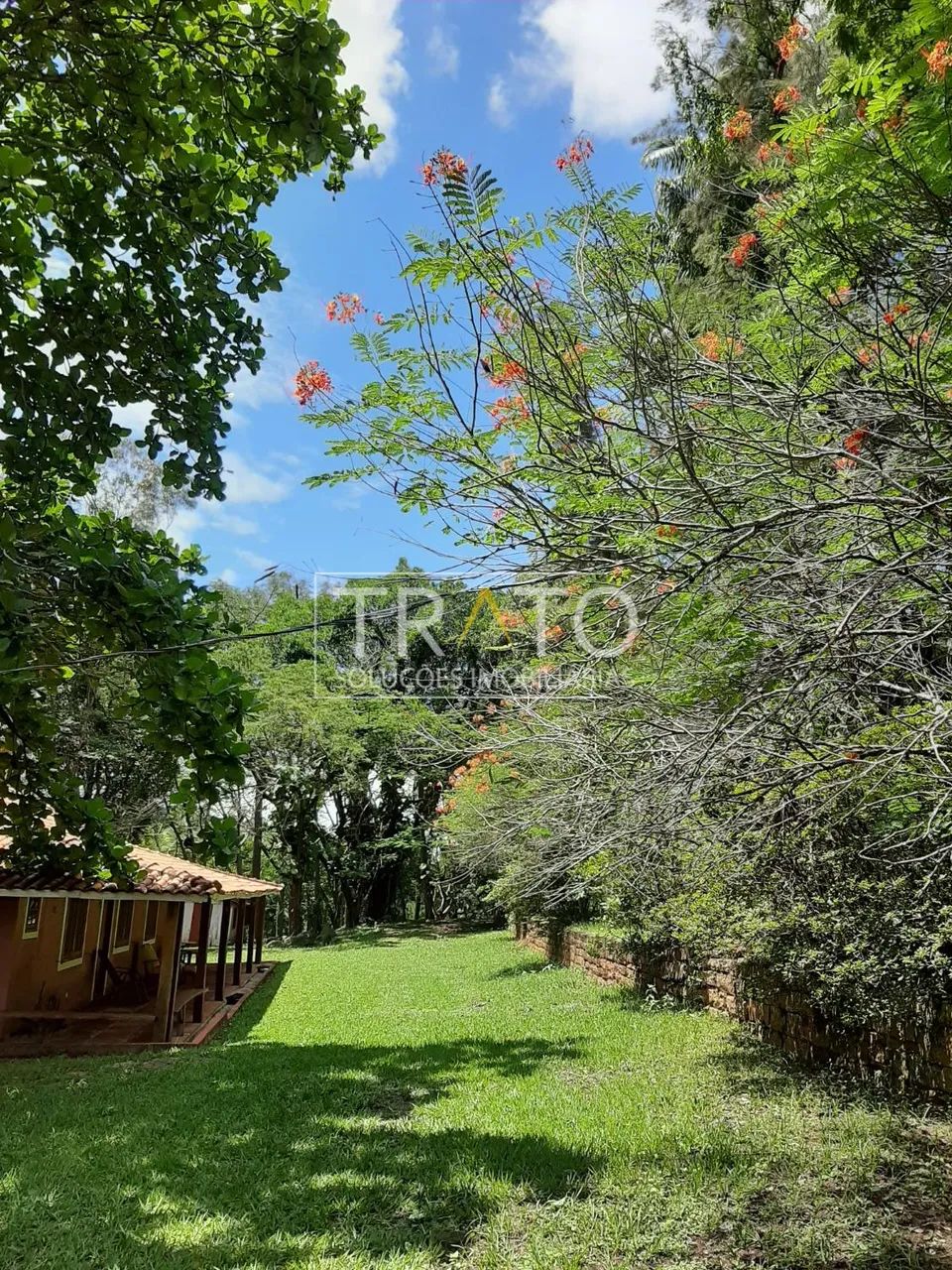 Fazenda espetacular à venda! - Foto 5
