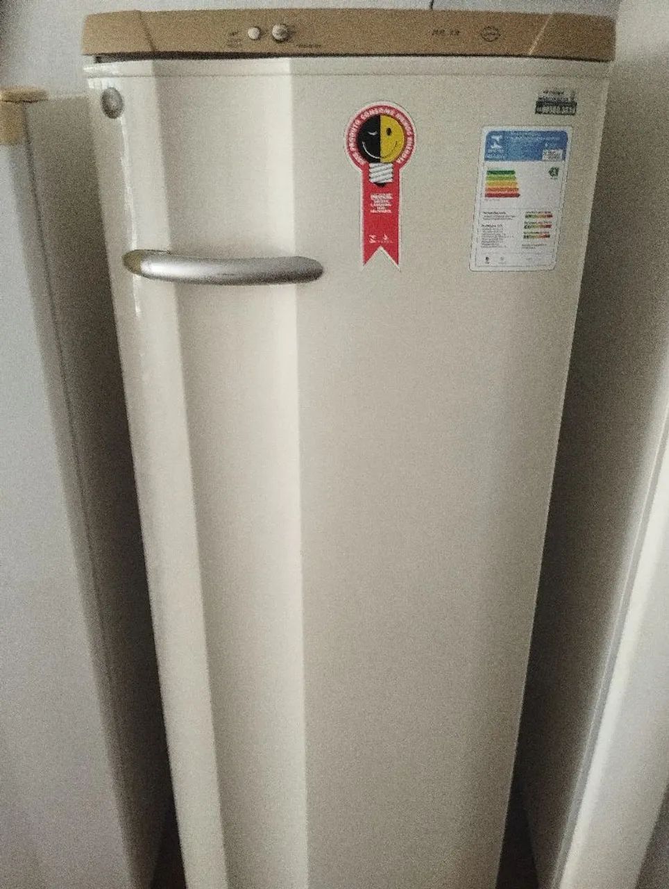 Vende-se geladeira Eletrolux funcionando perfeitamente 