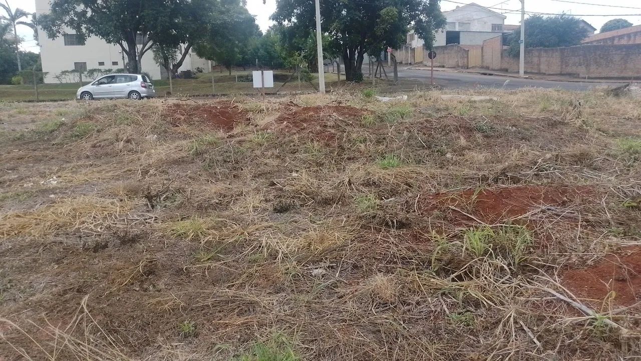 Terreno