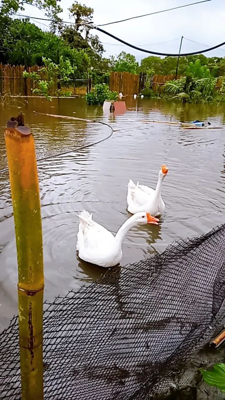 SÓ CHAMAR SE REALMENTE TIVER INTERESSE  - Foto 2